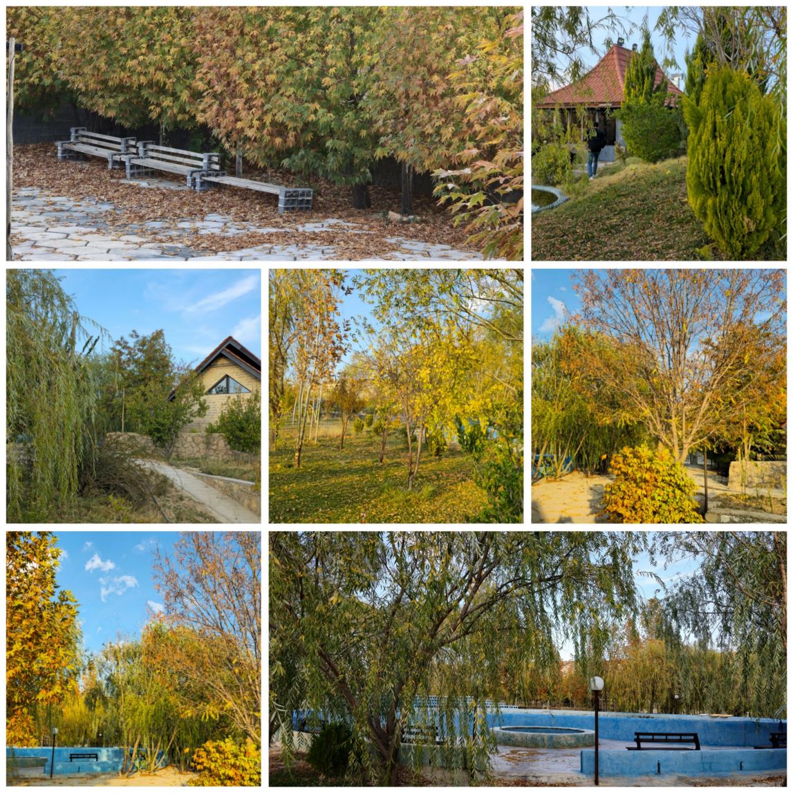 باغ تفریحی و توریستی